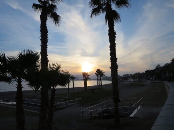 Die Sonne geht unter an einem Strand mit zwei großen und mehreren kleineren Palmen